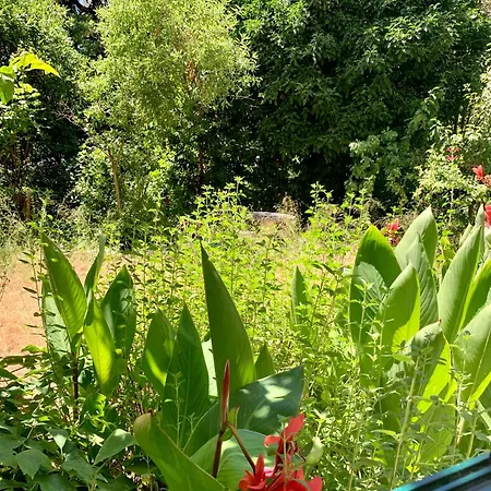 Beach Lili Appartement